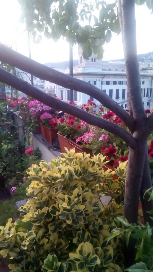 جنوة Bed And Breakfast " La Terrazza" المظهر الخارجي الصورة